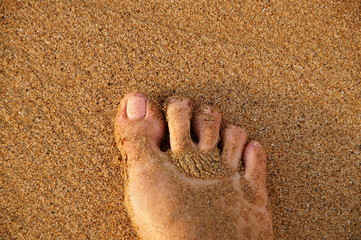 Fuß auf Strand