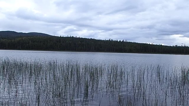 lac