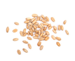 wheat grains isolated on white background. Top view