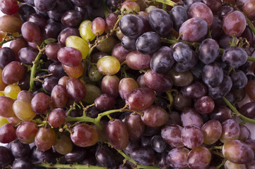 Background of grapes. Purple, pink and green grapes.