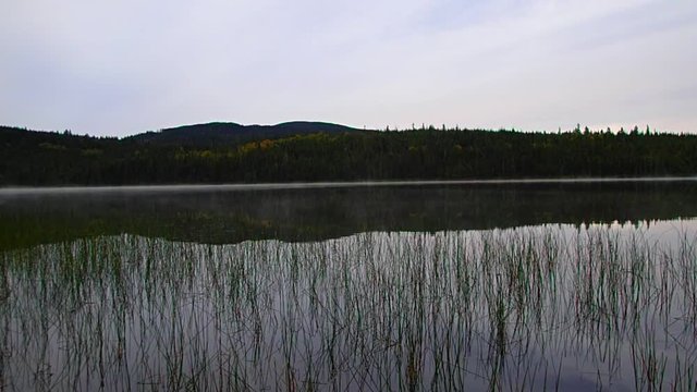 lac