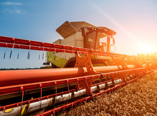 Combine harvester in action on wheat field. Process of gathering a ripe crop.