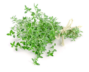 Bundle of fresh thyme spice isolated on white background