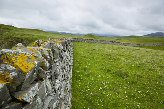 view towards a drystone wall in northern scotland