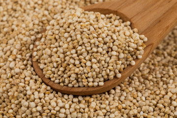 Quinoa seeds close up