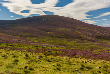 View of Cairngorms National Park