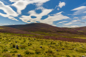 View of Cairngorms National Park