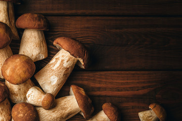 Autumn background, Porcini mushrooms on dark brown wood, copy space