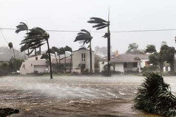 Photo sur Aluminium brossé Orage Le boulevard Las Olas inondé et les palmiers soufflant dans les vents, l& 39 ouragan catastrophique Irma.