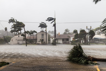 Overstroomde Las Olas Blvd en palmbomen die in de wind waaien, catastrofale orkaan Irma.