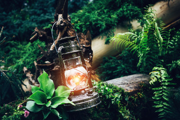 Vintage kerosene oil lantern lamp burning with soft warm light among green plants in wood and forest