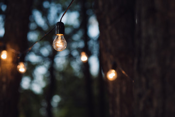 Lamp decoration in forest. Elements of the wedding decor in evening ceremony.