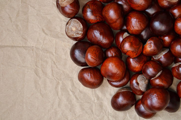 Chestnuts autumn background fall retro photo 7