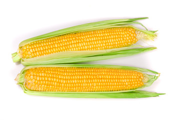 ear of corn isolated on a white background. Top view
