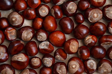 Chestnuts autumn background fall season retro photo 3