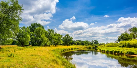 Selbstklebende Fototapete Fluss Sommerlandschaft mit Fluss und Bäumen