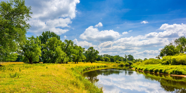 Summer landscape with river and trees