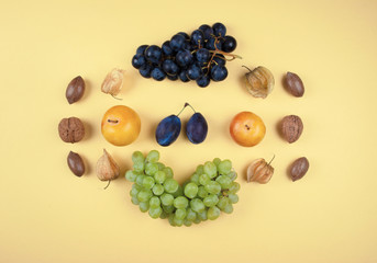 Autumn fruits and nuts on yellow background.