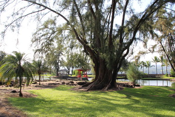 Hawaii Liliuokalani Gardens