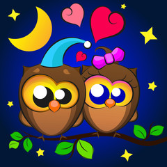 Love Two owls