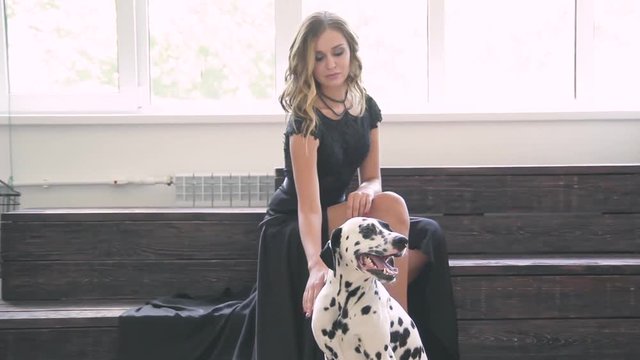 beautiful attractive girl in a black dress with a Dalmatian dog posing for a photographer in the studio