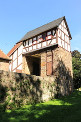 Tor der Burg Schweinsberg