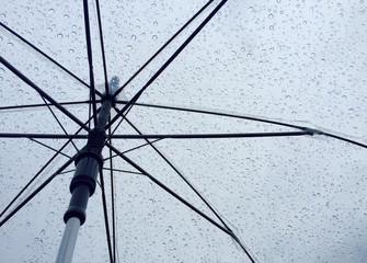 Water droplets On A Clear Umbrella During The Wet Season. Transparent umbrella in rainy day. Inside of an umbrella with rain drops. Background of umbrella and water droplets. Cloudy fall/ winter days 