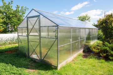 Naklejka na ściany i meble Greenhouse made of polycarbonate in the garden