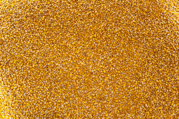 Gold and yellow corn kernels lie on the surface. Many crops.