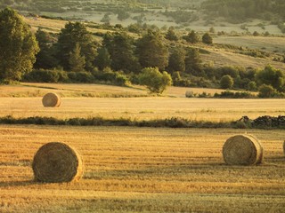 TEROL i CASTELLÓ © ALBERT