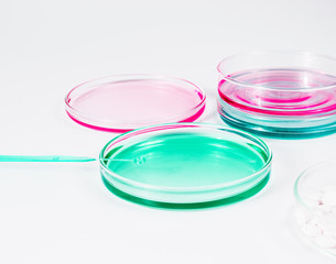 color liquid in petri dishes. laboratory, science and clinic background
