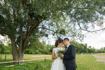 Fototapeta premium likable and pretty wedding couple stay and hugging and kissing in the garden by the tree