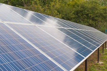 The solar panel is set on the ground in the garden.