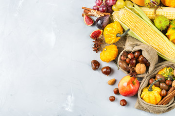Fall autumn harvest background with pumpkin apple chestnut corn