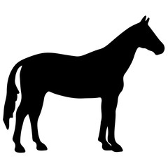 Obraz premium Running horse black silhouette. Vector illustration.