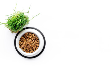 pet care with dry food for pet - cat in plastic bowl on white background top view space for text