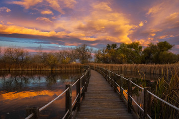 Rocky Mountain Arsenal National Wildlife Refuge