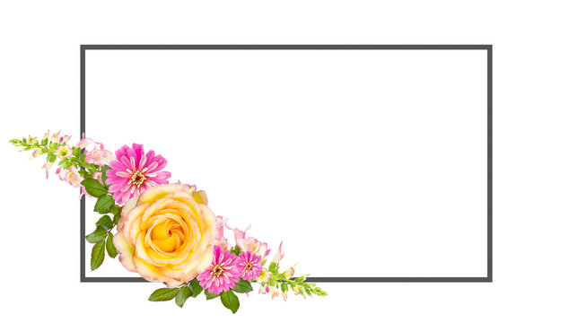 Collage of flowers with copy space and rectangular banner box, isolated on white