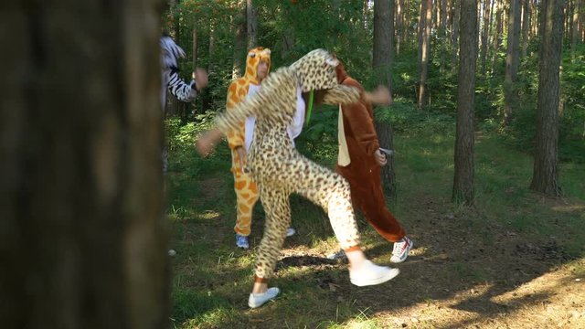Mad people in animals costumes dances, jumps, enjoys, have fun in the forest on grass. Guys and girl dressed the costumes of zebra, jaguar, giraffe, bear, squirrel go crazy. Madness in park