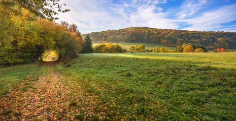 Landschaft idyllisch morgens im Herbst mit Sonnenlicht