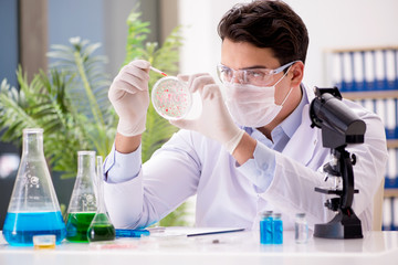 Male doctor working in the lab on virus vaccine