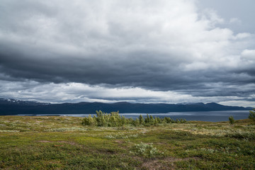 The Tornetrask Lake Area