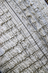 Fototapeta premium texture of old paint