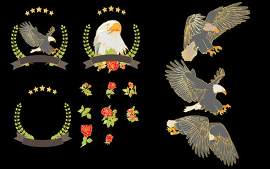 Vector set hand painted eagle and red roses. For graphic design, signage,icon and text