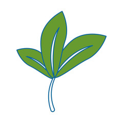 leafs plant isolated icon vector illustration design
