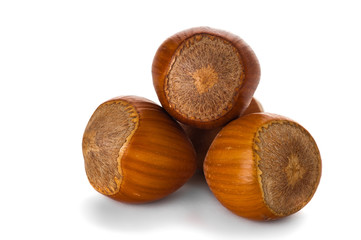 Hazelnuts