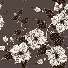 Hibiscus flower vector pattern by hand drawing.Flower vintage wallpaper on brown background.Hibiscus flower 