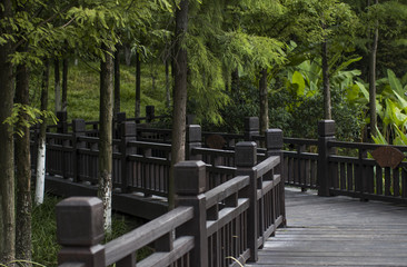 Landscape in the garden