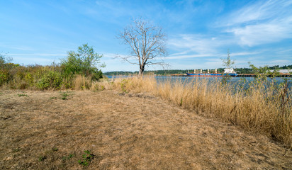 Puget Sound On A Sunny Afternoon