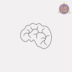 brain line icon